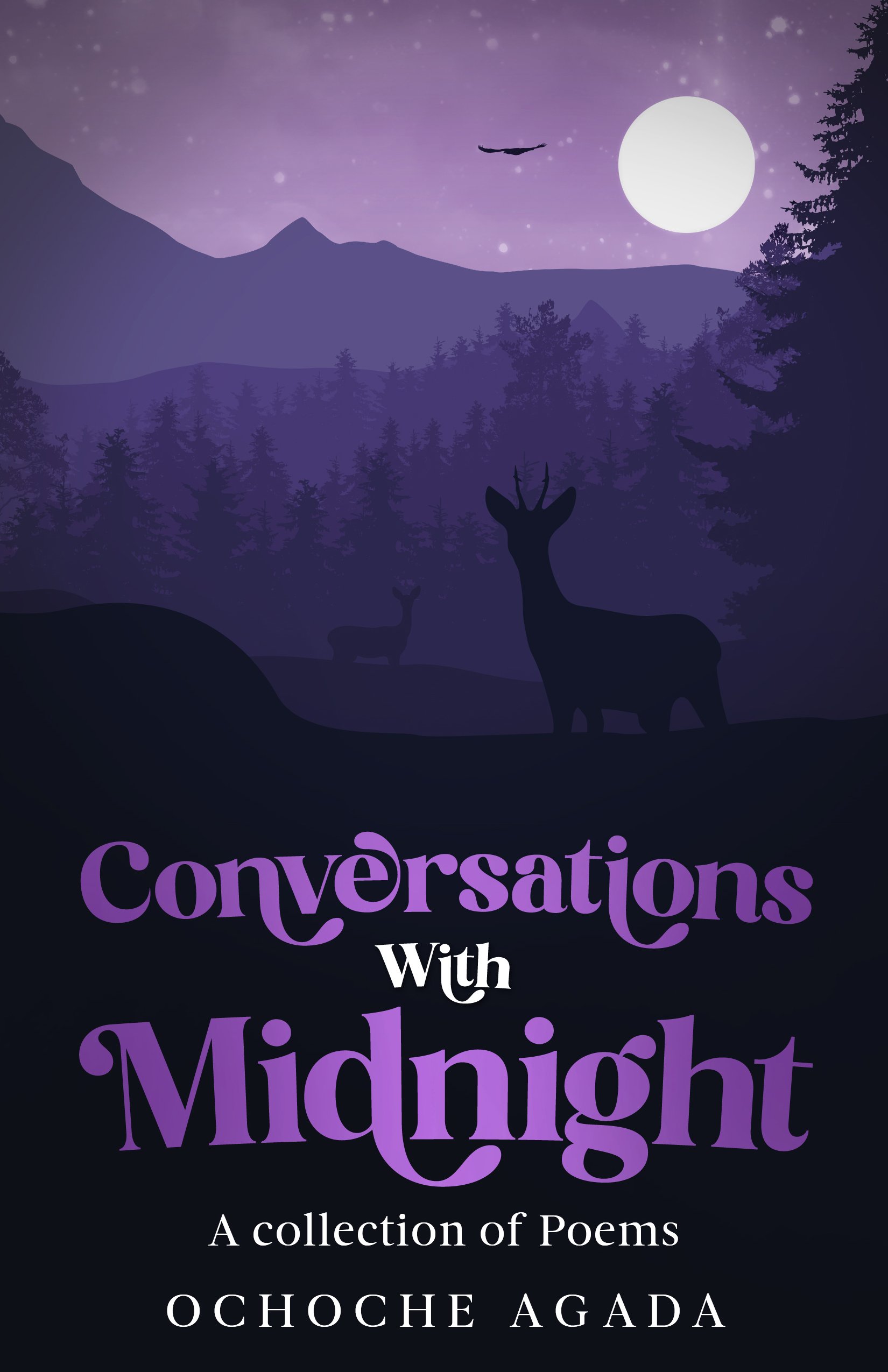 Conversations Wtih Midnight – Paperworth Books