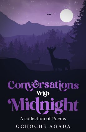 Conversations with midnight cover ebook